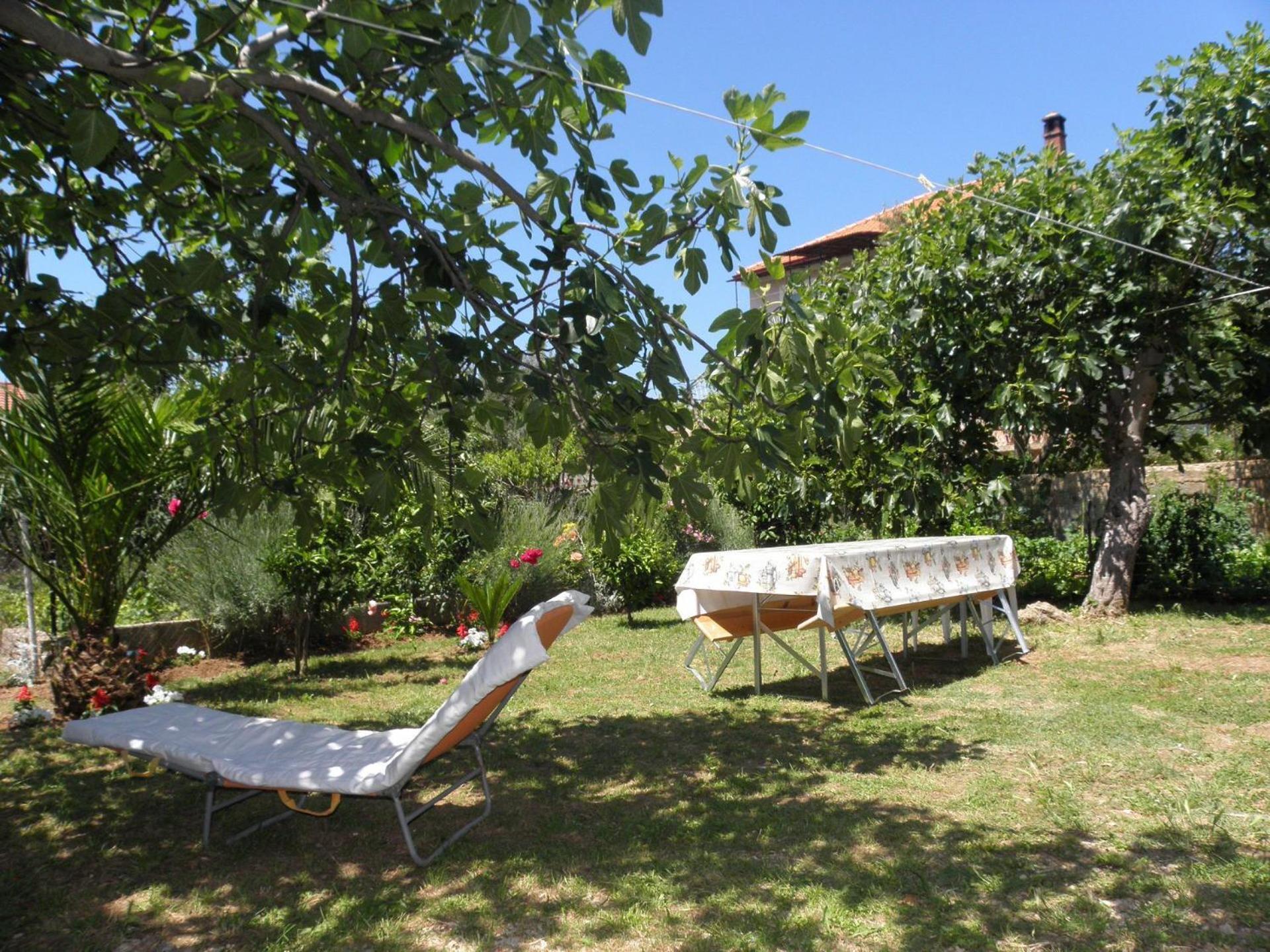 Apartments Zvone - 100 M From Sea Bibinje Buitenkant foto