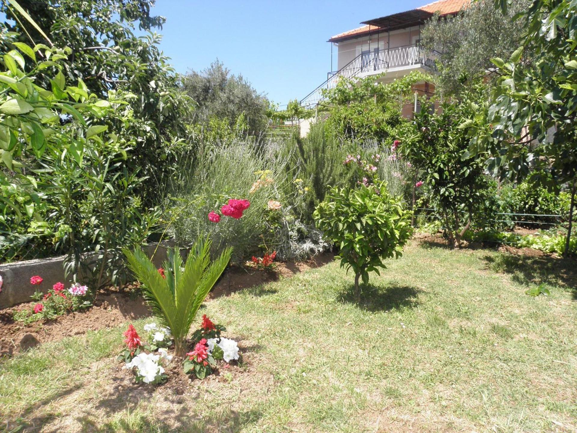 Apartments Zvone - 100 M From Sea Bibinje Buitenkant foto